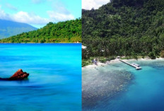 Pulau Sebuku, Surga Alam yang Menggabungkan Keindahan dan Ketentraman!