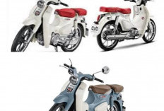 Gak Cuma Jual Gaya! Honda Super Cub C125 2026 Terbukti Paling Irit, Segini Angsuran Bulanannya Kalau Mau