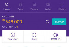 Wow! 4 Aplikasi Penghasil Saldo OVO yang Harus Anda Coba