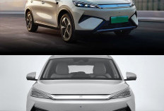 BYD Atto 3 Facelift Hadir di IIMS 2026: Desain Lebih Segar dan Fitur Pintar Makin Canggih