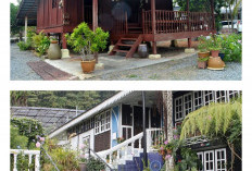 Wisata Budaya di Kampung Cikini: Homestay Nyaman dan Aktivitas Berkesan