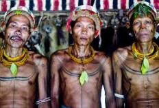 Ini 7 Suku Pedalaman di Indonesia yang Masih Ada, Salahsatunya Suku Wana