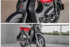 Jangan Salah Pilih Buat Kurir & Ojek! Perbandingan Spesifikasi Supra X 125 vs Vega Force Terbaru