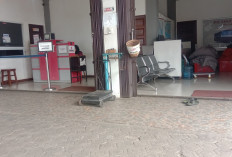 Selain Angkutan Penumpang, Armada Sinar Dempo Layani Pengiriman Paket