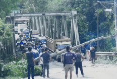 Pohon Tumbang Tutupi Badan Jalan