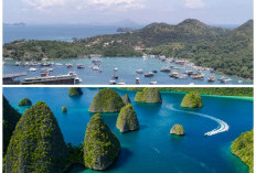 7 Wisata Alam Terbaik Indonesia 2026: Dari Megahnya Danau Toba hingga Eksotisme Raja Ampat yang Mendunia!