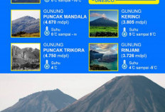 Daftar Gunung Tertinggi di Indonesia yang Masuk Dalam Jajaran Gunung Tertinggi Dunia