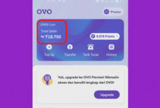 Begini Cara Top Up atau Isi Ulang Saldo OVO dengan Mudah