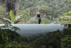 Misteri dan Keindahan Gunung Betung, Surga Tersembunyi di Lampung!