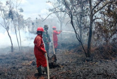 Kemarau Diprediksi Lebih Ekstrem