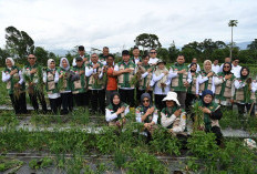 Tekan Inflasi dan Perkuat Ketahanan Pangan, Pemkot Panen Raya Bawang Merah