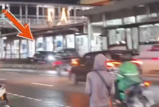Viral Transjakarta Adang Mobil Lawan Arah di Matraman, Ini Kata Polisi