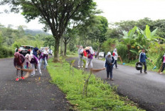 Pj Wako Pimpin Aksi Jum’at Bersih Kawasan Objek Wisata 