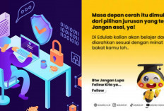 Anti Nganggur! Ini Jurusan Kuliah yang Banyak Dicari Perusahaan