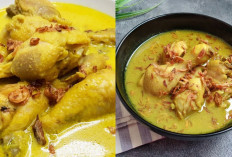 Inilah Ide Olahan Ayam Berkuah, Bahan yang Diperlukan, dan Tipsnya?