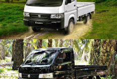 Terbongkar! Ini Alasan Mengapa Suzuki Carry 2026 Jadi Pick Up Paling Sulit Dibobol Pencuri