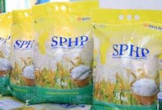 Apresiasi Subsidi Harga Beras SPHP