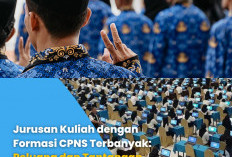 Ingin Lolos CPNS 2026? Pilih Jurusan Kuliah Ini untuk Peluang Terbesar