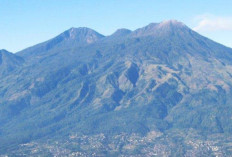 Wajib Kalian Tahu, Menelisik Gunung Arjuno yang Mengagumkan, Simak!