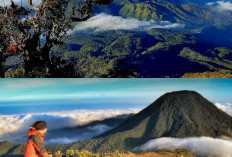 Mengenal Keindahan dan Keunikan Gunung Lawu di Perbatasan Jawa Tengah dan Jawa Timur!