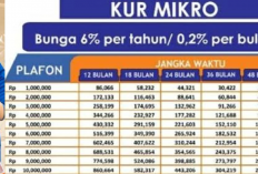 KUR BRI 2025 Tawarkan Modal Rp500 Juta, Tanpa Jaminan dan Cicilan Terjangkau!
