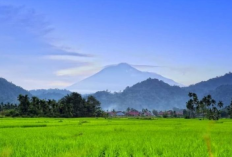 Menjelajahi Keindahan Gunung Pasaman, Permata Tersembunyi di Sumatera Barat!!!