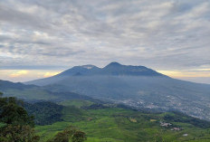 Gunung Kencana, Surga Kecil di Bogor untuk Pendaki Pemula dan Keluarga