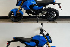 Grom 2026 Makin Keren: Tiga Pilihan Warna Segar, Harga Tetap Pas di Kantong!