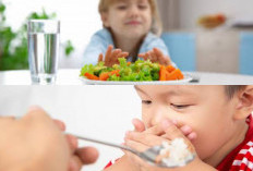 Bunda Simak! Inilah 5 Tips Ampuh Untuk Menumbuhkan Selera Makan Anak