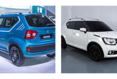Mobil Irit Gak Harus Mahal! Suzuki Ignis 23 Km/Liter Kini Cuma Rp90 Jutaan, Cek Tahun Lansirannya!