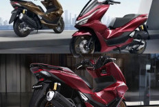Honda PCX 160 2026 Resmi Meluncur dengan Warna Baru & Fitur RoadSync, Harga Mulai Rp34 Jutaan!