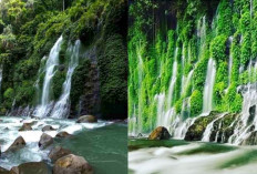 Keindahan Air Terjun Curug Maung Lahat Siap Temani Liburan Tahun Baru 2025 Kamu!! 