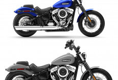 Jangan Salah Pilih Harley-Davidson Resmi Luncurkan Mesin VVT 117! 
