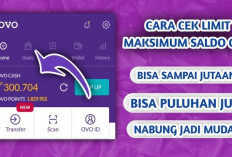 Begini 4 Aplikasi Penghasil Saldo Ovo Terbaru dan Termudah