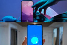 Stop Terganggu! Mode Fokus Bikin Konsentrasi Maksimal!