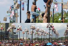 Yuk Ikut Seru Seruan Menyaksikan Tradisi Panjat Pinang yang Bikin Tertawa