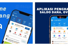 Lumayan dari Pada Lumanyun, Ini 4 Aplikasi Penghasil Saldo OVO! Simak Ini Penjelasanya