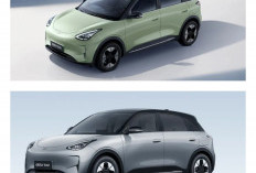 Harga Rp259 Jutaan! Apa Keunggulan EX2 Max Dibanding EV Kompak Lainnya?