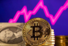 Ini 5 Faktor Penyebab Harga Bitcoin Turun
