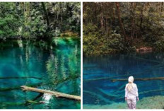 Sejernih Kristal, Sebening Legenda Kilauan Biru di Tengah Hutan, Jelajah Keindahan Danau Kaco!