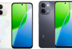 Vivo Y31D Terbaru 2026 Resmi Hadir? Intip Spesifikasi, Harga, dan Fitur Andalannya yang Bikin Penasaran!