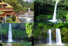 Kalian Suka Wisata Alam? Yuk Nikmati Indahnya Curug di Banyumas?