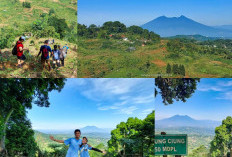 Keindahan Alam Gunung Ciung, Tempat Camping dan Trekking di Sentul Bogor!