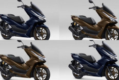 Harga Terbaru Agustus 2026 Honda PCX 160, Naik atau Turun Ini Kisaran Harga dan Daya Tariknya!