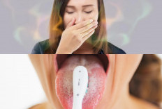 Jangan Minder Guys! Ini Dia 7 Cara Alami Mengatasi Bau Mulut yang Mengganggu Percakapan Anda