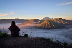 Rekomendasi Wisata di Gunung Bromo yang Wajib Kalian Kunjungi!