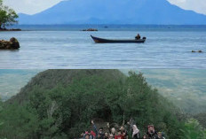 Menjelajahi Gunung Maras, Ketinggian, Keanekaragaman Hayati, dan Tradisi Loka!