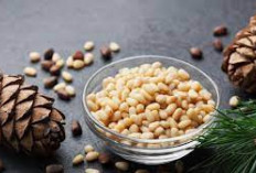 Bukan Sekedar Kacang Biasa! Inilah 5 Manfaat Kacang Pinus Dalam Kesehatan dan Gizi Anda