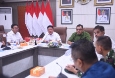 Gubernur Tegaskan Komitmen Sumsel Dukung Ketahanan Pangan Lewat Cetak Sawah