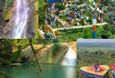 Mengungkap Keistimewaan Desa Wisata Mina Mangrove Tunggulsari di Kabupaten Pati!